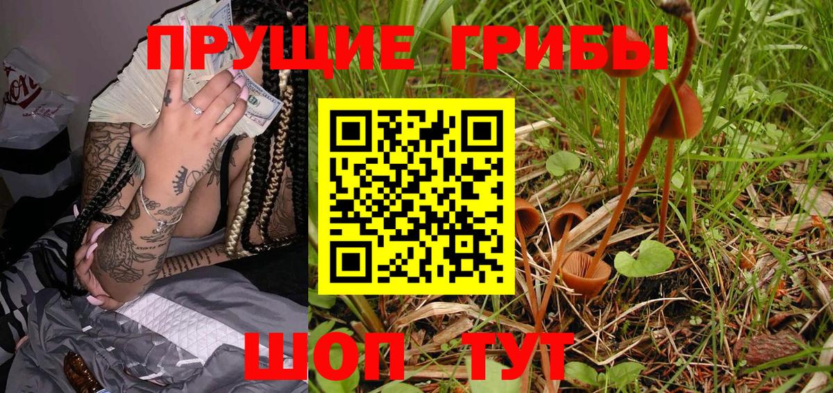 Псилоцибиновые грибы Cubensis  Вход с VPN  Галлюциногенные грибы Cubensis  Алексеевка 