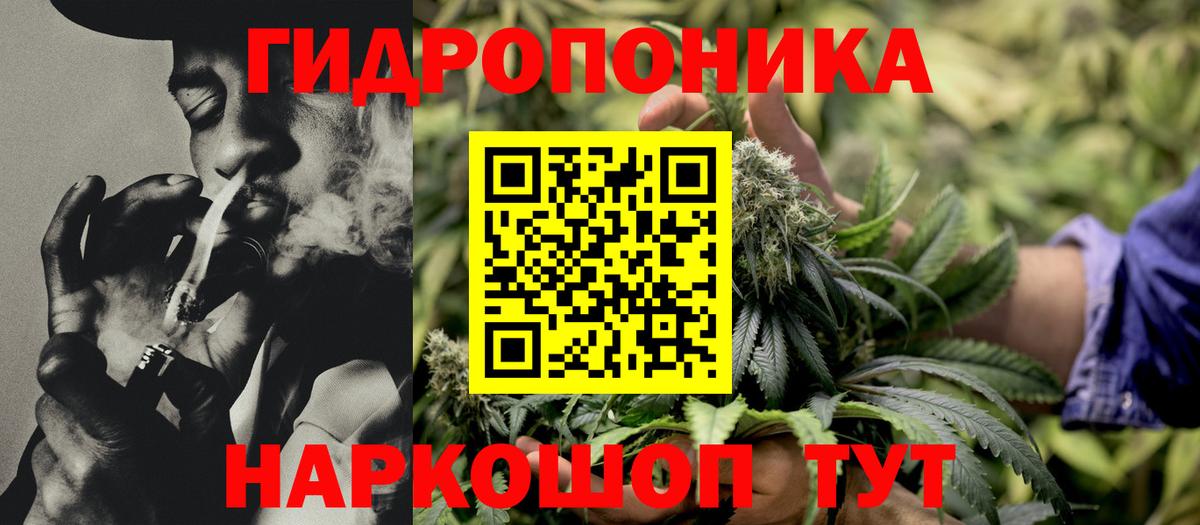 Бошки Шишки VHQ  Шишки марихуана индика  Вход с VPN  Алексеевка  Каннабис OG Kush 